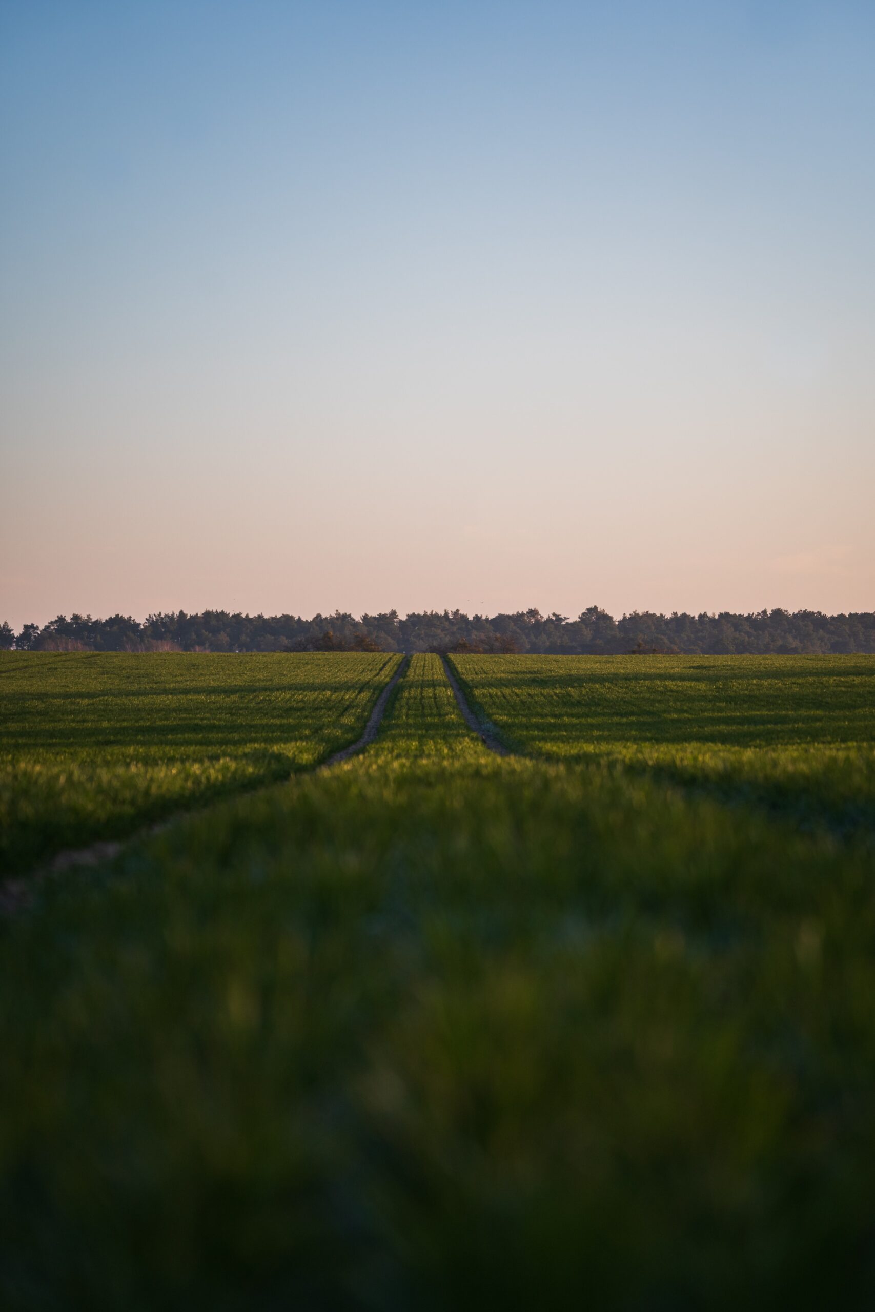max-saeling-mOMfZB2Vtpk-unsplash